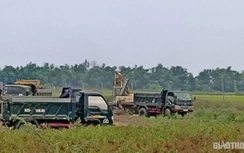 Tận thu đất giá "bèo": Quảng Nam lấy được "quả trứng gà", DN lời khủng