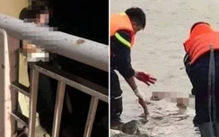 Thiếu phụ bỏ lại hai con mồ côi, nhảy cầu Hồ tự tử