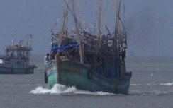 Một ngư dân tử vong trên tàu khi đang sửa dây cẩu