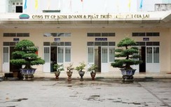 Thanh tra 6 doanh nghiệp ở Gia Lai thuê đất công để "trục lợi"