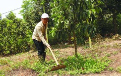 Anh trai làm "bố" vất vả nuôi 6 em mồ côi