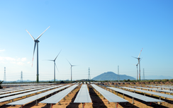 Khánh thành tổ hợp điện mặt trời và điện gió lớn nhất nước ở Ninh Thuận