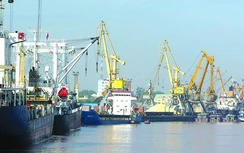 Cảng biển Vinalines đón nhiều tín hiệu khởi sắc