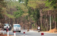 Gia Lai: Thanh tra việc xây dựng nhà ở, cây xăng trên đất rừng thông