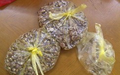 Bắt 2 đối tượng "chặt chém" du khách ở Bãi Cháy