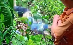 Leo núi Cấm Sơn, nam thanh niên rơi xuống vực tử vong