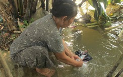 Nhiều hộ gia đình ở Hậu Giang chưa được sử dụng nước sạch