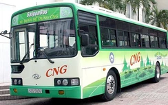 Hà Nội thí điểm buýt sạch, “phủ sóng” mini buýt