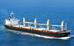 IMO quy định khắt khe, doanh nghiệp vận tải biển vượt ải thế nào?