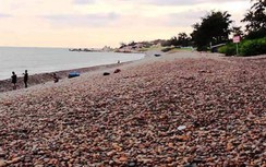 Khởi tố người xâm phạm bãi đá 7 màu ở Bình Thuận