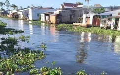 Bộ Tài nguyên & Môi trường vào cuộc vụ sông Cái Lớn bị ô nhiễm