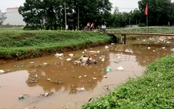 “Vỡ trận” dịch tả lợn châu Phi, Bộ NN-PTNT sẽ họp khẩn