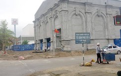 Hải Phòng: Hàng loạt cây phượng bị chặt dịp lễ hội “hoa phượng đỏ”