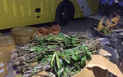 Bắt giữ xe khách chở đầy hàng cấm đi qua Quảng Bình