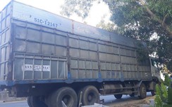 Quảng Ngãi: Xử lý nghiêm phương tiện vi phạm kích thước thành thùng