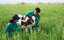 Vinamilk khởi công xây dựng tổ hợp "Resort" bò sữa Organic tại Lào