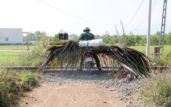 Rào chắn vừa dựng đã bị… phá bỏ