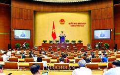 Quốc hội thảo luận kinh tế - xã hội, Bộ luật Lao động sửa đổi