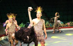 Khi lợn, gà diễn xiếc thay động vật hoang dã