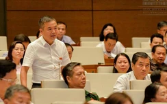 "Trước khi bàn triết lý, cần đưa ra nguyên tắc giáo dục không nói dối"