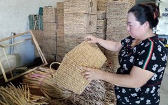 “Nữ hoàng lục bình” viết tiếp chuyện vì người nghèo sau giải oan