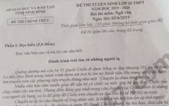 Đáp án đề thi tuyển sinh vào lớp 10 môn Ngữ Văn năm 2019 ở Ninh Bình