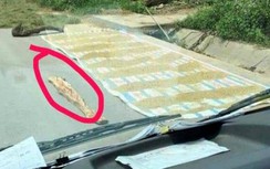 Cần phạt nghiêm tình trạng phơi lúa trên đường