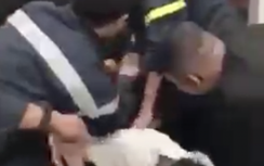 21 người mắc kẹt gần nửa tiếng trong thang máy tòa nhà 25 tầng ở TP.HCM