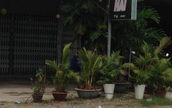 Chủ quán cà phê cất giấu gần 1 ký ma túy đá