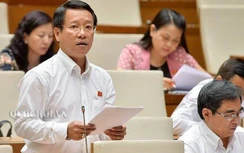 ĐBQH: "Hành vi của bà Yến chùa Ba Vàng đã rõ, sao không xử lý hình sự?"