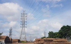 Hải Phòng: Quản lý yếu kém khiến đất công bị xâu xé, chiếm dụng