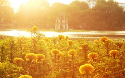 Nắng nóng ở miền Bắc kéo dài 2-3 ngày tới, nhiệt độ lên đến 40 độ C