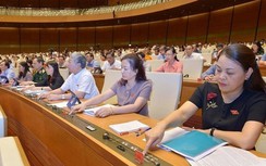 Trình Quốc hội thông qua Luật Đất đai sửa đổi vào cuối 2020