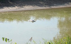 Lấy nước kênh ô nhiễm làm nước sạch bán cho dân