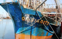 Phản đối tàu Trung Quốc đe dọa tính mạng, cướp mực của ngư dân Quảng Nam