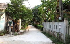 Xuất hiện thêm nhiều ổ dịch tả lợn châu Phi tại Quảng Trị