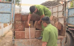 Bị phát hiện dùng BKS giả chở gỗ lậu, tài xế tông xe vào công an bỏ trốn