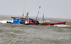 Hơn 150 thuyền viên, ngư dân được cứu nạn trên biển