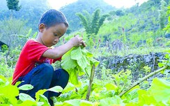 Lòng nhân ái lan tỏa từ trái tim người cầm bút