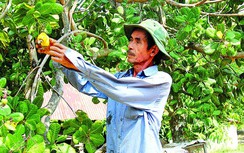 Gia đình “Robinson” 35 năm giữa hoang đảo hồ Trị An