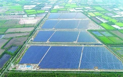 Xung lực mới cho thị trường điện mặt trời
