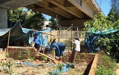 Giải tỏa công trình trái phép dưới chân cầu lớn nhất trên QL1 qua Bình Định