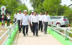 Niềm vui bên những cây cầu “Bác Tư Sang”