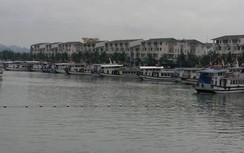 Du khách Nhật Bản tử vong tại Tuần Châu do trượt chân ngã