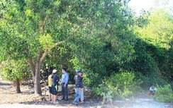 Giám đốc Trung tâm Văn hóa Quảng Nam gửi nhiều tin nhắn trước khi tử vong