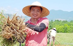 Chàng phóng viên Hà Thành bén duyên cùng sản vật tiến vua ở Quảng Bình