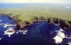 Putin: “Sẽ không hạ cờ Nga trên đảo Kuril”