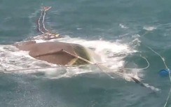 Tàu hàng mang quốc tịch Singapore đâm chìm tàu cá của ngư dân Cà Mau