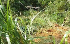 Lật xe khách đi tham quan ở Quảng Ninh, 1 người chết, nhiều người bị thương