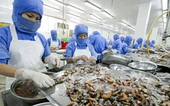 Thủy sản Việt bị quy chuẩn cản đường xuất ngoại